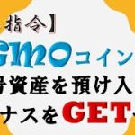 【1万円】GMOコインに暗号資産を預け入れてボーナスをGETせよ!! BTC ビットコイン ETH イーサリアム XRP リップル