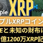 リップルXRPコイン展望：リップルCEO、「もっともSEC訴訟は今夏前に仕上げなければならない」！Rippleと未知の財布に移動した5億1200万XRP記録！（リップルSEC、リップルサラネットバーン