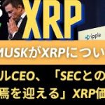 リップルXRPコイン展望：Elon MuskはXRPについて再び秘密裏に暗示しました！リップルCEO、「SECとの法廷闘争が終焉を迎える」XRP価格上昇！（リップルサラネットバーン、リップル訴訟）