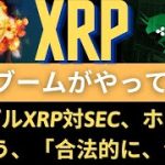 リップルXRPコイン展望：RIPPLE XRP：現在、弱気な場所にいますか？ XRPブームがやってくる！ホーガンにリップル訴訟の進行状況を聞くと、「法律用語で言えば今は…」！（リップルSEC）