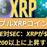 リップルXRPコイン展望：XRPが$1未満から$200以上に上昇するには？XRP弁護士は事件でさらに遅れを見ます。（リップルSEC、リップルサラネットバーン、リップル訴訟、リップル合意、リップル和解）