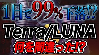 【メタバース#特別編】1日で99%暴落！？Terra/LUNAは何を間違えた！？