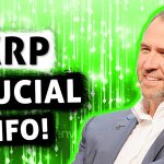 🚨RIPPLE XRP: Crucial Information That You Need To Put Into Consideration When Investing In XRP!🚨