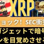 XRPショック！ SEC衝突確認！ RIPPLE / XRP銀行にXRPが必要ですか？XRPユーティリティで暗号通貨のAmazonを覚醒させてください！（リップルSEC、リップルSEC訴訟）