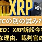 リップルXRPコイン展望：XRP CEO：XRP訴訟今年合意可能な理由、裁判官の意志！SECの別の試み？ 市場は沈むがベンチャー投資歴代最高！（リップルSEC、リップルサラネットバーン、リップル訴訟）