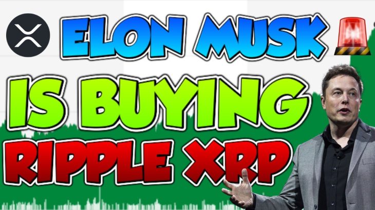ELON MUSK IS NOW BUYING XRP!?!!! (You’ve Never seen this) Ripple XRP