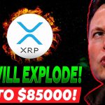 This Is How Much Money XRP You Can Make When Ripple Wins The SEC Lawsuit! (Xrp News Today)