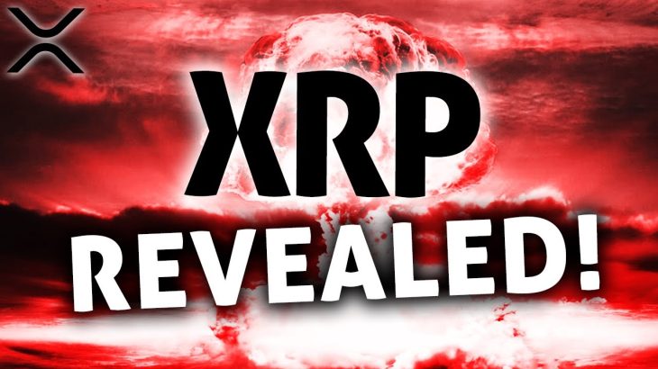 XRP Ripple: THIS Insider Information Will Blow Your Mind!💣