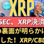 ＃リップル＃ビットコイン＃XRPの裏面が明らかになりました！コインベース、リップル保持目標！SEC、XRP決済！弱世にもかかわらず、持続的な成長！XRP/CBDC突然の方向性！
